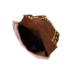 Cassiopea